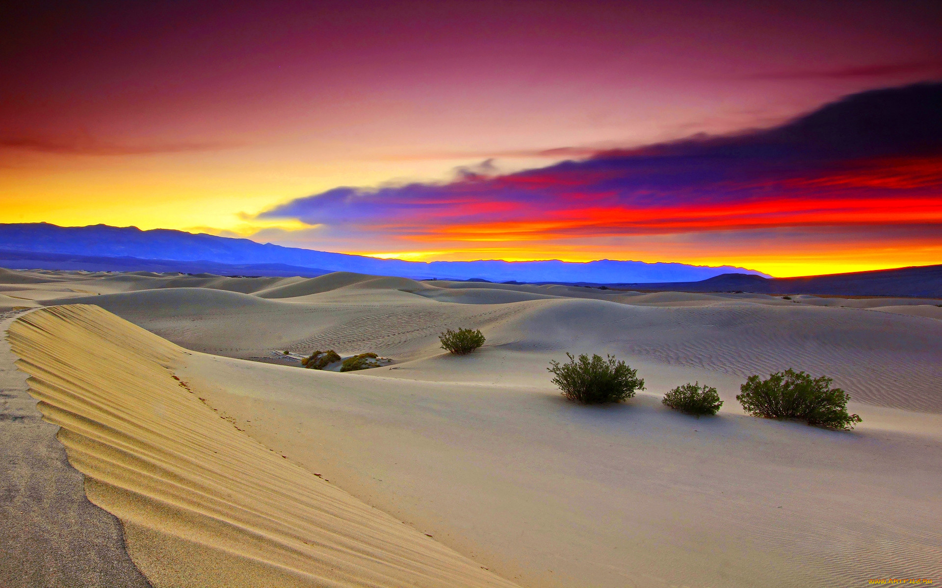 Фото пустыня в высоком разрешении